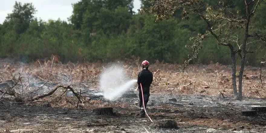 Fransa'nın Lozere vilayetinde ormanlık alanda çıkan yangında 250 hektarlık alan kül oldu