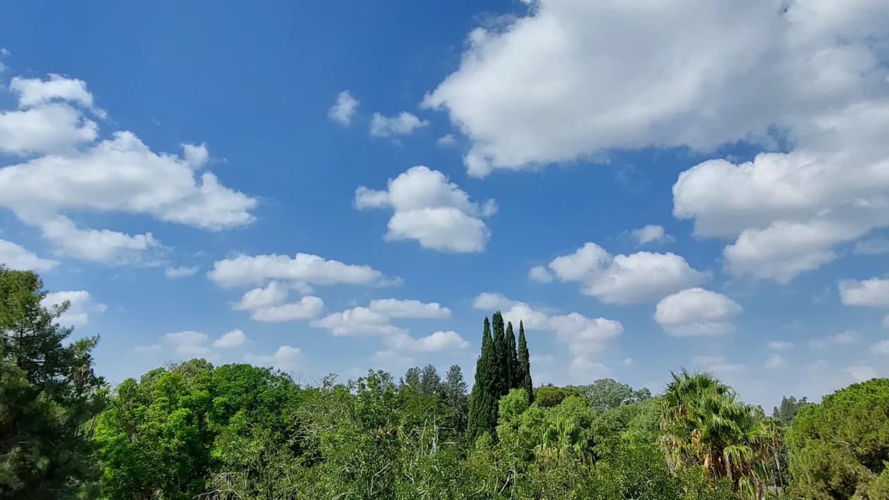 En yüksek hava sıcaklığı 38 derece