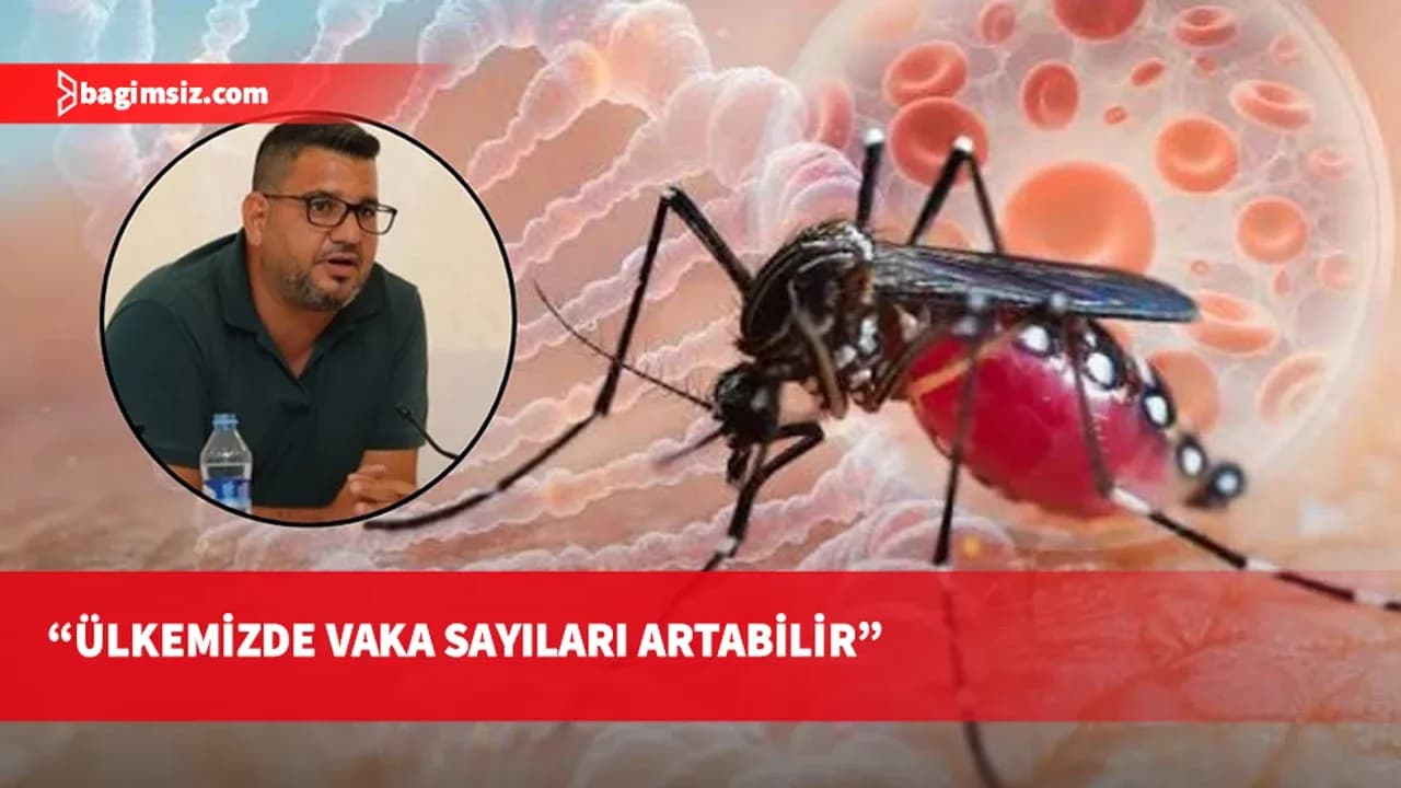 Sarpten: Sağlık Bakanlığı bünyesi altında “Sivrisinek Kontrol Birliği” oluşturulmalı
