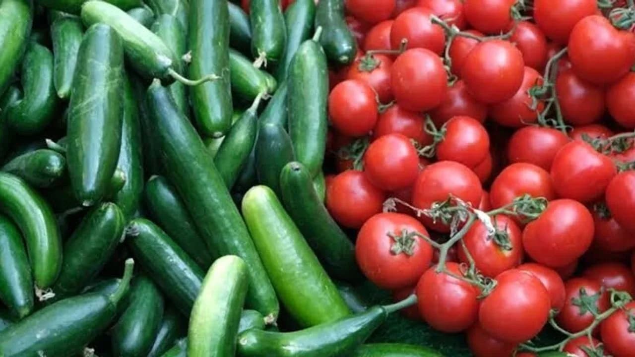 Haspolat'ta yüklü miktarda kaçak domates ve salatalık ele geçirildi!