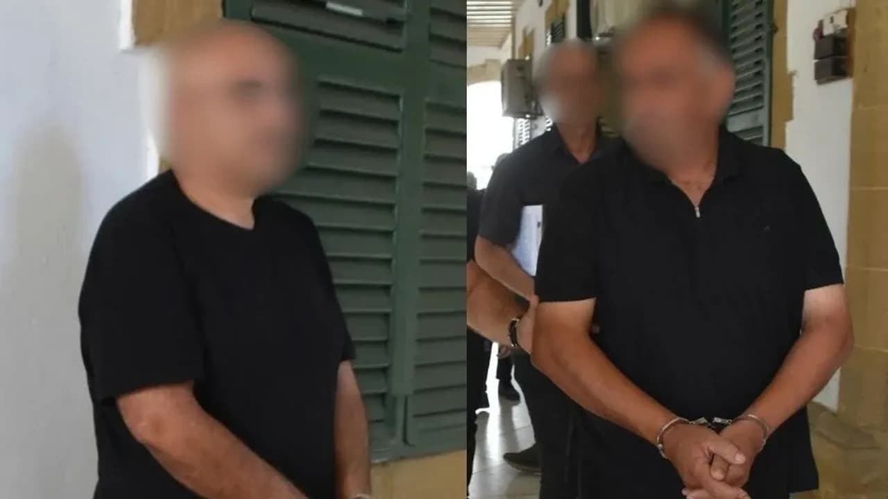 Güney’den 233 karkas kuzu getirildi