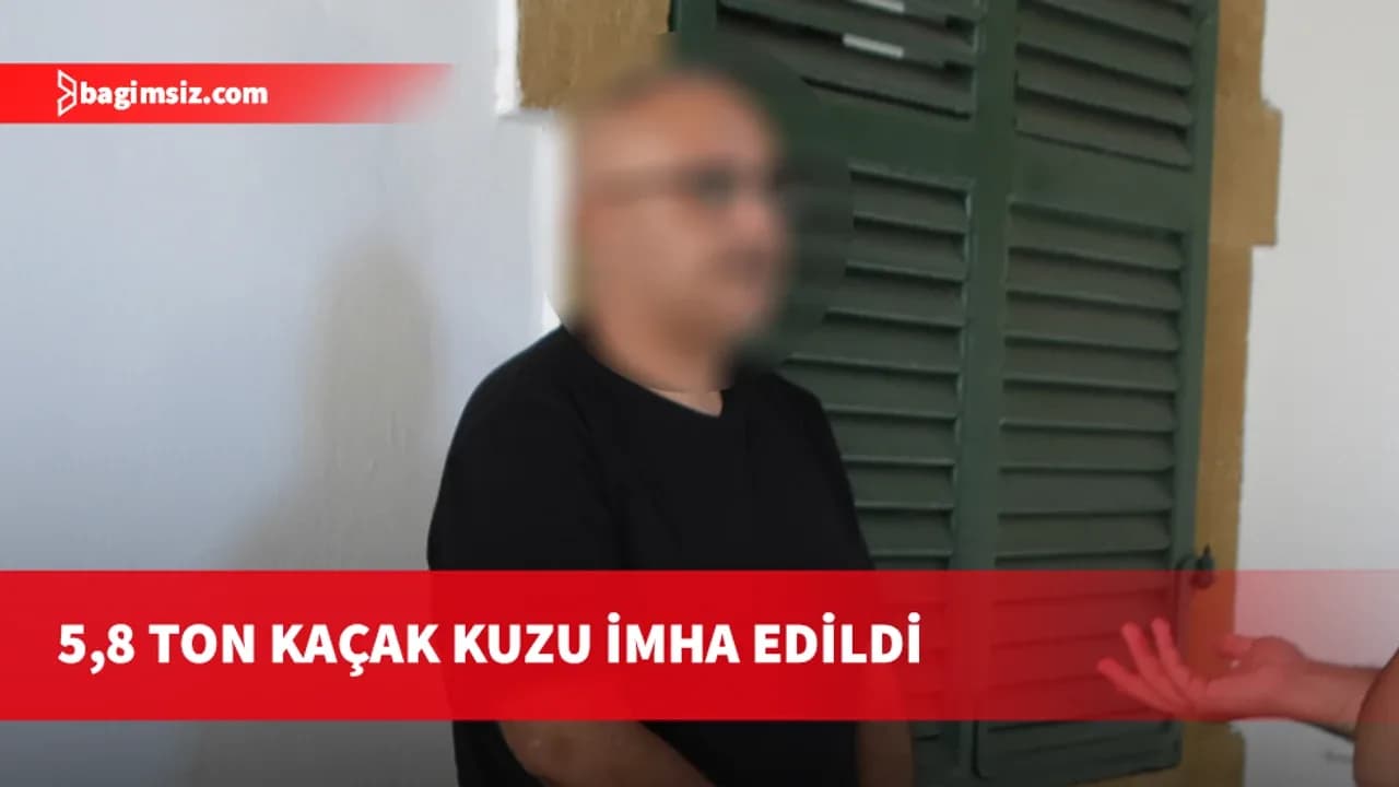 Kaçak kuzu operasyonu: 233 hayvan ve mühürsüz etler ele geçirildi