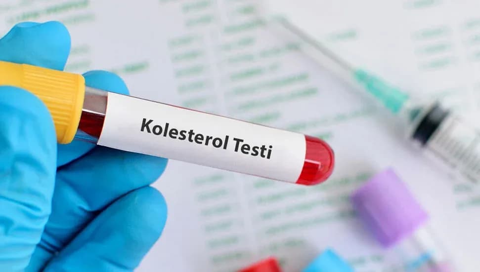Tek doz gen tedavisi kolesterolü bir yıl boyunca yarı yarıya düşürdü