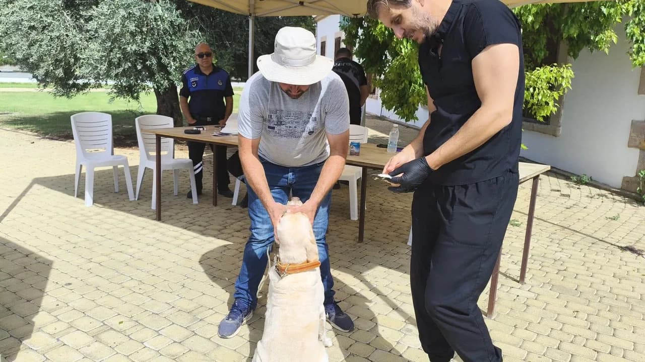 Mehmetçik’te köpeklere mikroçip uygulaması başladı: İlk gün 21 kayıt