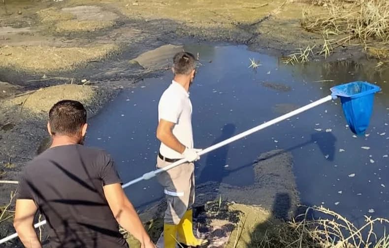 Gönyeli-Alayköy Belediyesi Batı Nil Virüsü’ne karşı sınır bölgelerinde kontrolleri artırdı