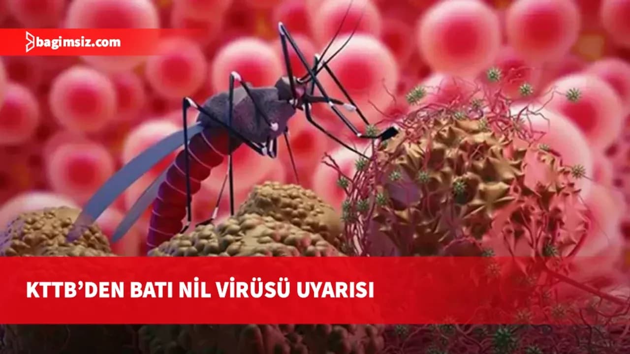İnce: Batı Nil Virüsü’ne karşı mücadelede sivrisinek kontrolü esas