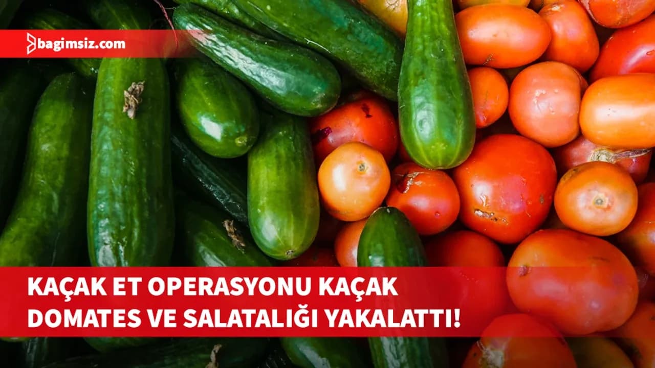 Kamera kayıtları ele verdi: Güney Kıbrıs’tan kaçak domates ve salatalıklar getirilmiş!