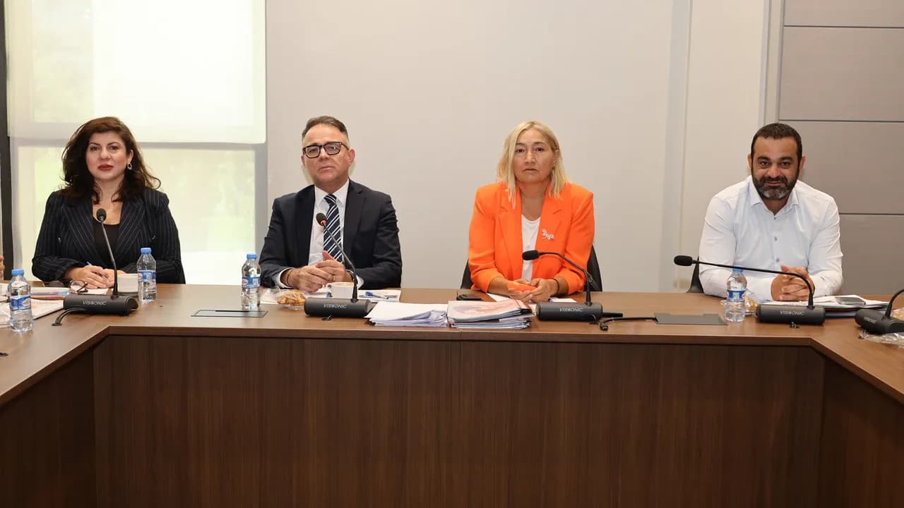 Hukuk Komitesi'nde bir yasa, bir de karar tasarısı görüşüldü