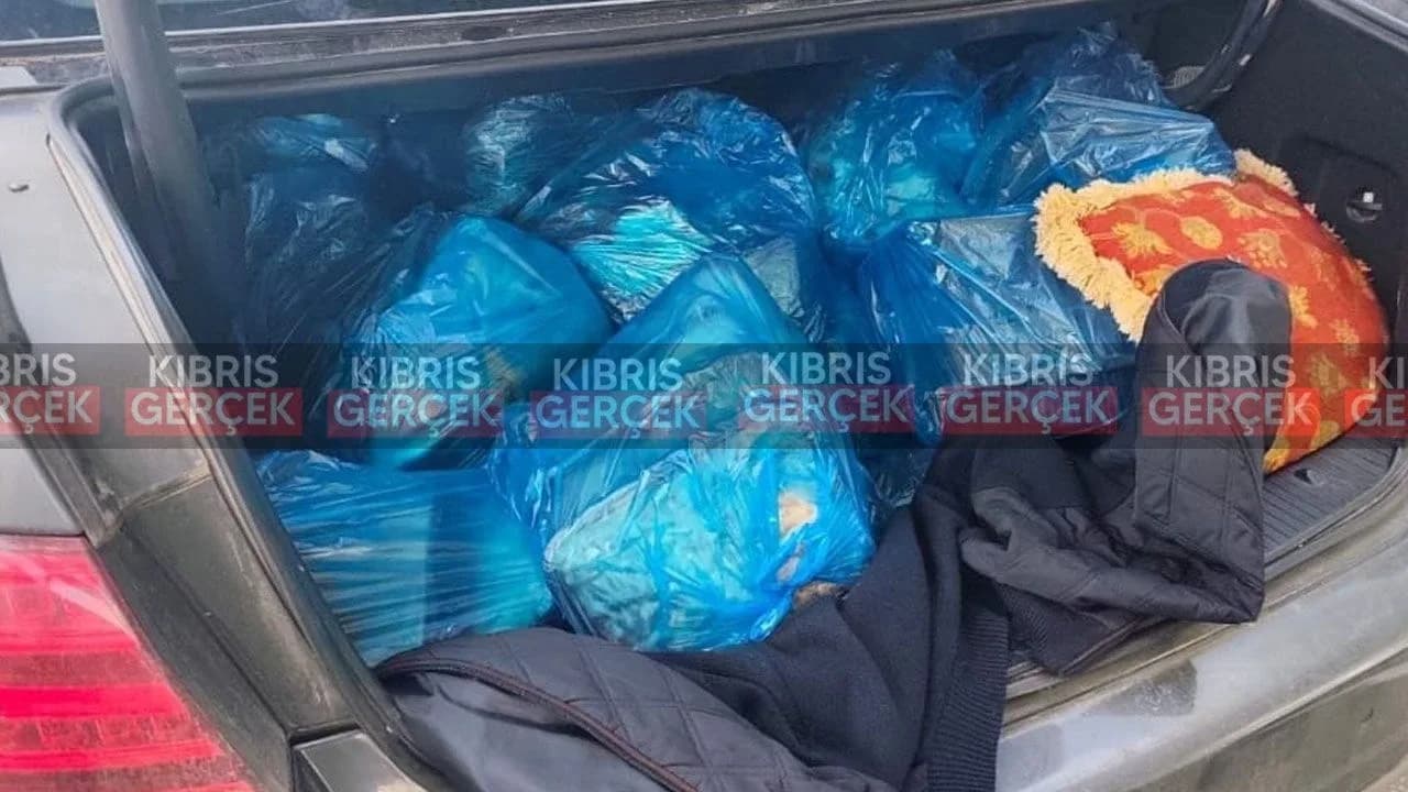 Metehan Sınır Kapısı'nda 100 kilogram dana eti ele geçirildi