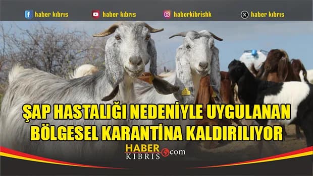 Şap hastalığı nedeniyle uygulanan bölgesel karantina kaldırılıyor
