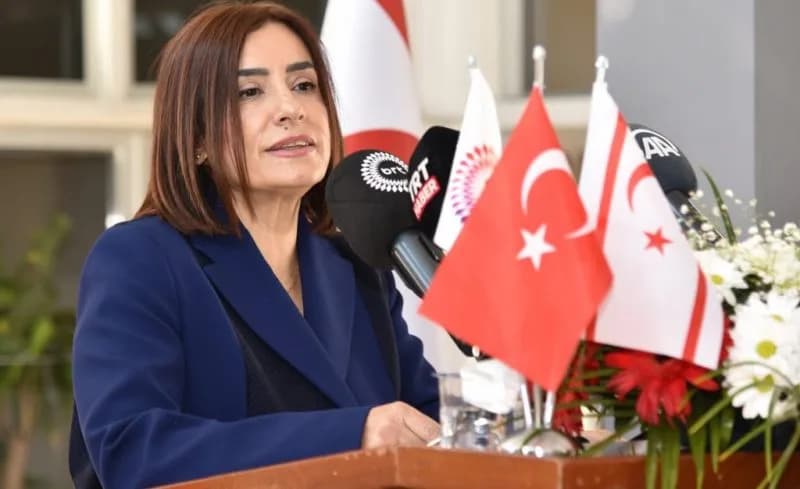 BRTK Müdürü Meryem Çavuşoğlu Özkurt görevinden istifa etti