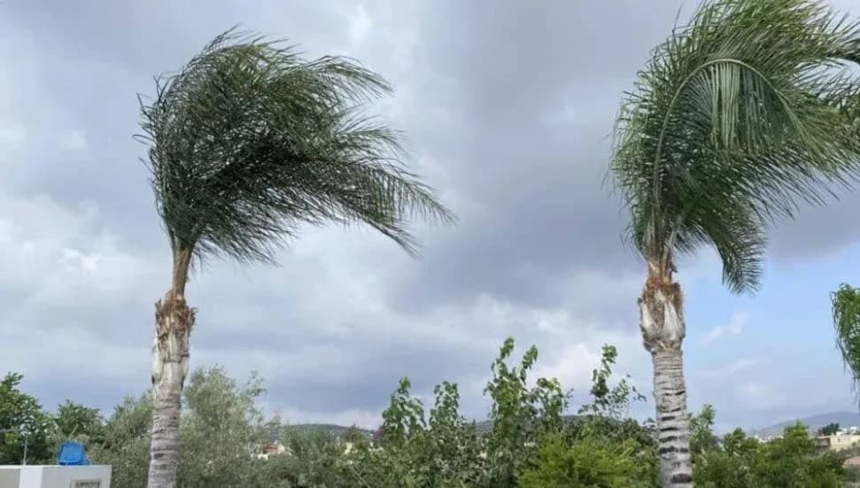 Rüzgar kuvvetli esecek: Yer yer sağanak bekleniyor