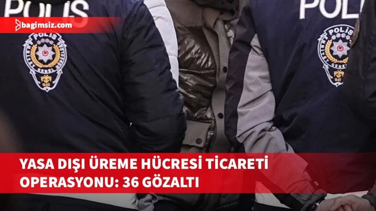 Türkiye, KKTC, Arnavutluk ve Gürcistan bağlantılı yasa dışı üreme hücresi ticareti...