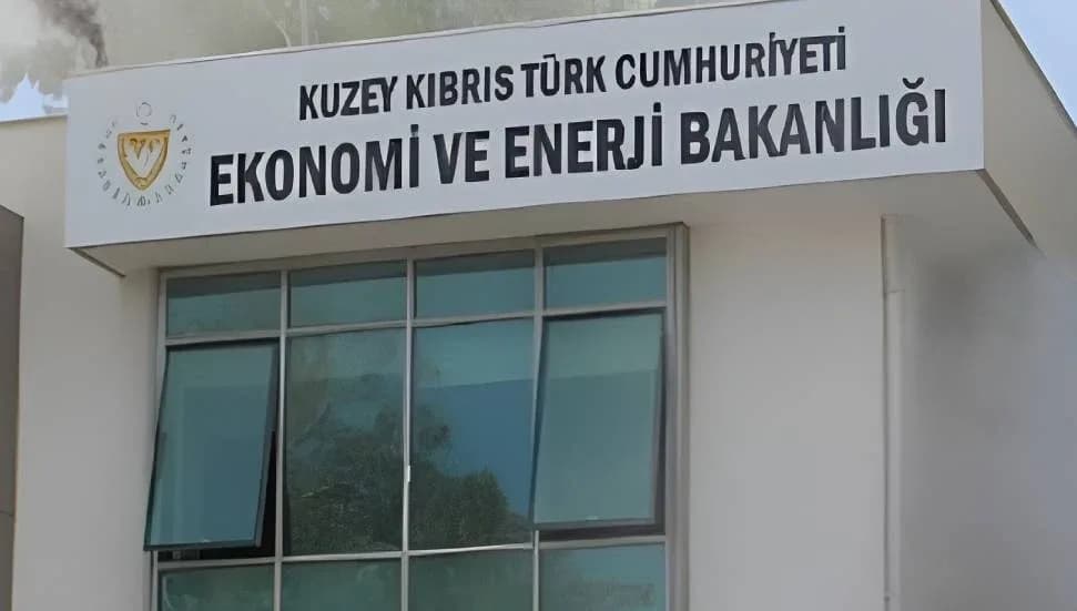 Batı Nil virüsüne karşın, sinek ilacı ve benzeri ürünlerde fiyat ve stok denetimleri başladı