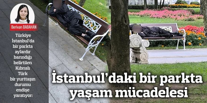 İstanbul’daki bir parkta yaşam mücadelesi