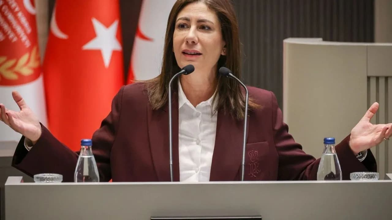 İncirli’den ülkeye giriş ve nüfus takibi için yeni sistem önerisi
