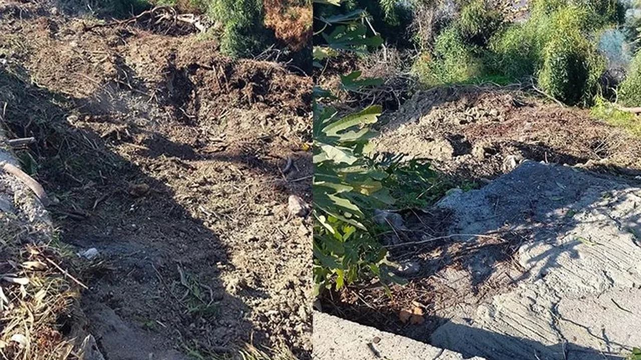 Karaoğlanoğlu’nda ağaç kesimi ve çevre tahribatı iddiası