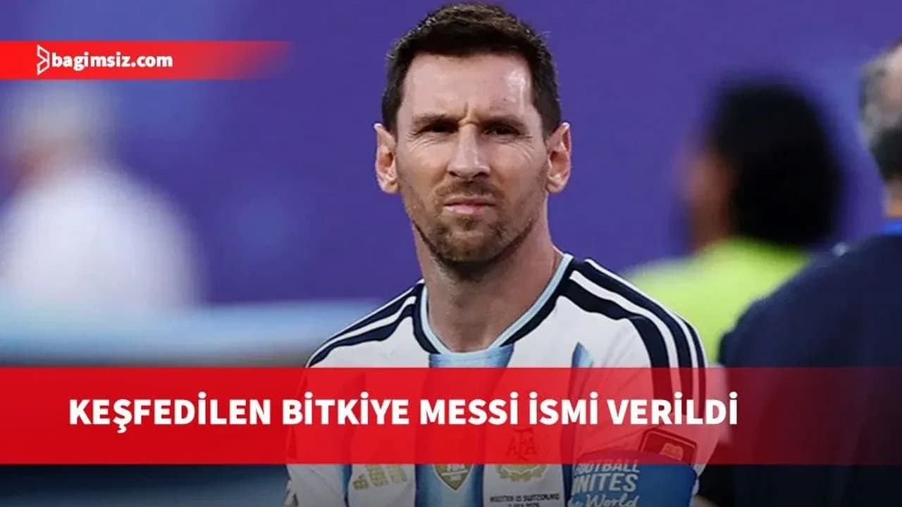 Peru'da keşfedilen yeni bir bitkiye Messi adı verildi