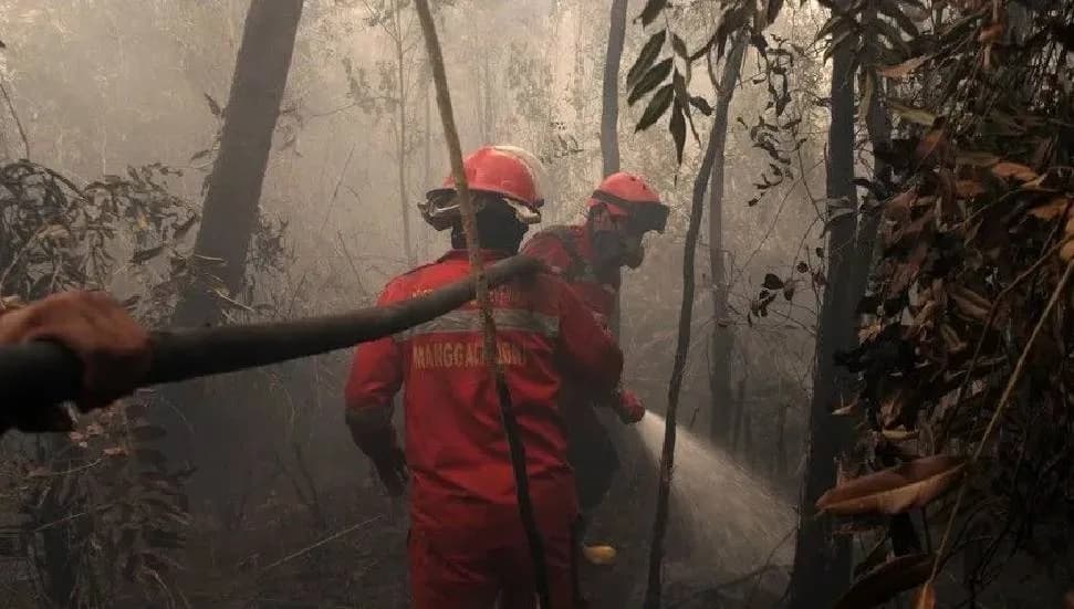 Endonezya, orman yangınlarıyla mücadelede havadan ve karadan müdahaleyi artırdı