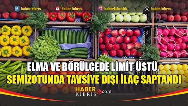 Elma ve börülcede limit üstü, semizotunda tavsiye dışı ilaç saptandı