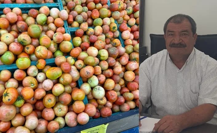 Türkiye’den 150 ton geliyor