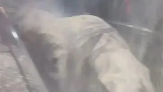 Fransa'da cumhurbaşkanı adayına saldırı: Başından un döküldü