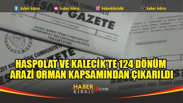Haspolat ve Kalecik’te 124 dönüm arazi orman kapsamından çıkarıldı