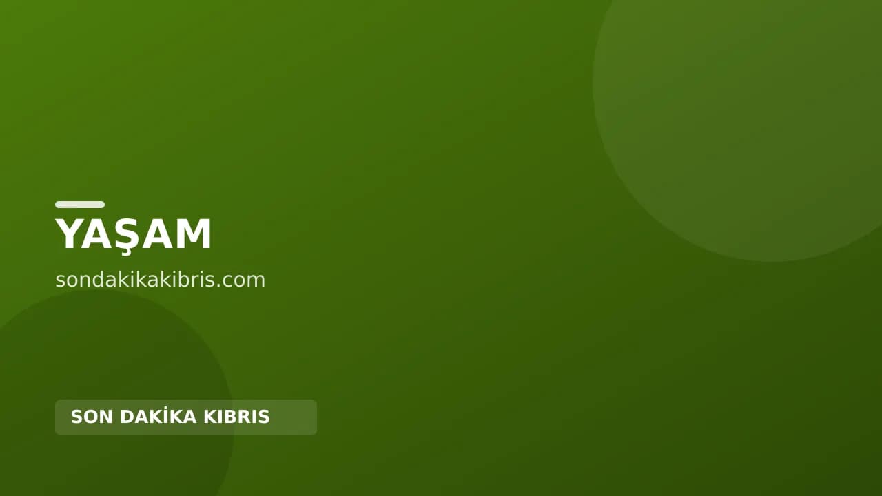 Slovenya Günlükleri | Bölüm 2: Nazar Boncuğu Bled ve Yerin Altında Yirmi Bin Fersah