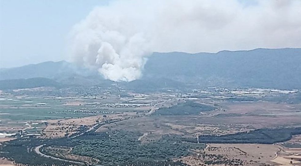 İzmir’de orman yangını