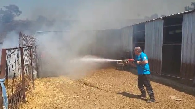 Sivil Savunma ekipleri, Çınarlı bölgesinde çıkan yangını söndürme çalışmalarına katılıyor